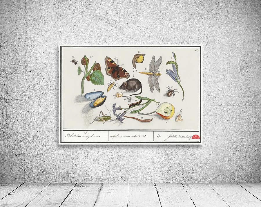 Nature ensemble in vintage style Wall Preview