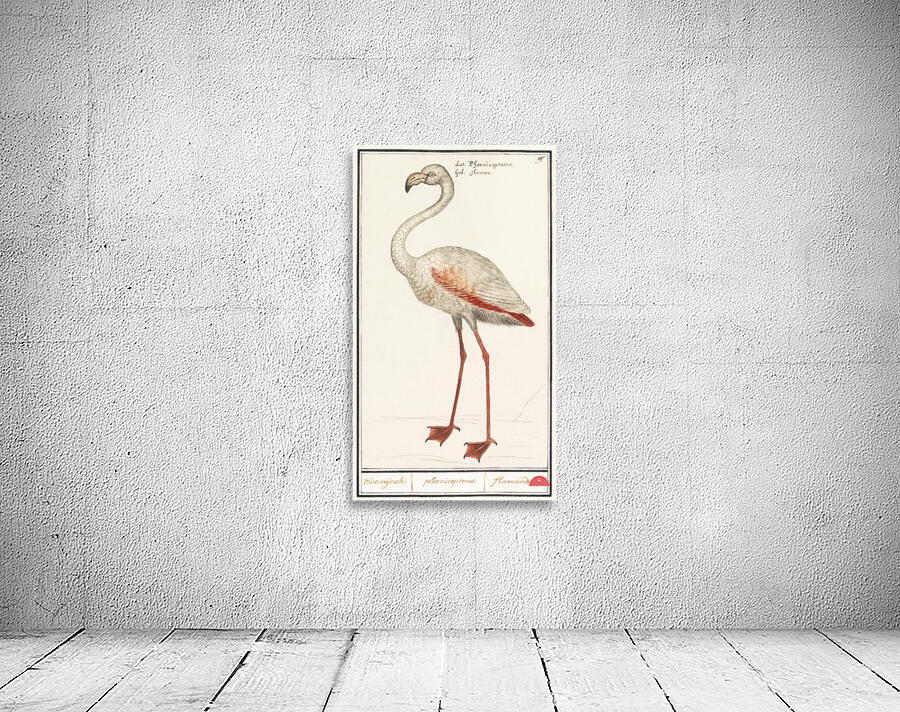 Flamingo in vintage style Wall Preview