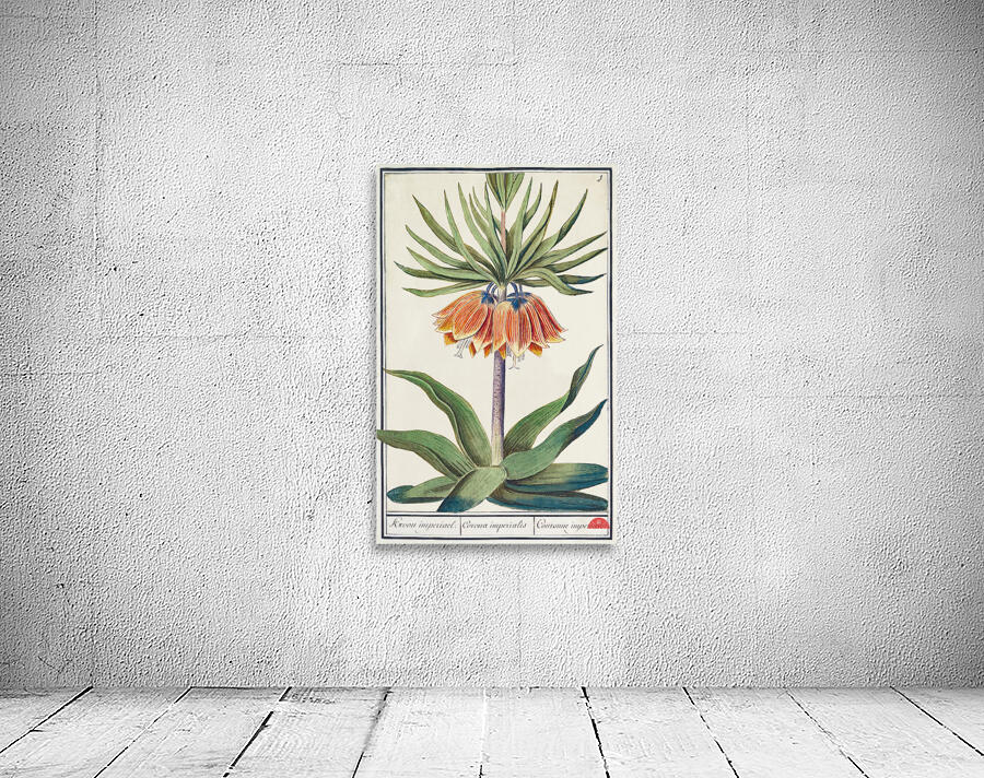 Kaisers crown in vintage style Wall Preview