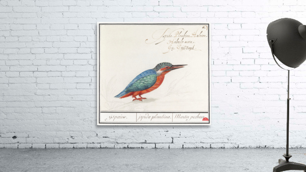 Kingfisher in vintage style Wall Preview