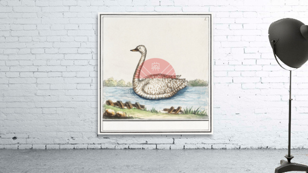 Swan in vintage style Wall Preview