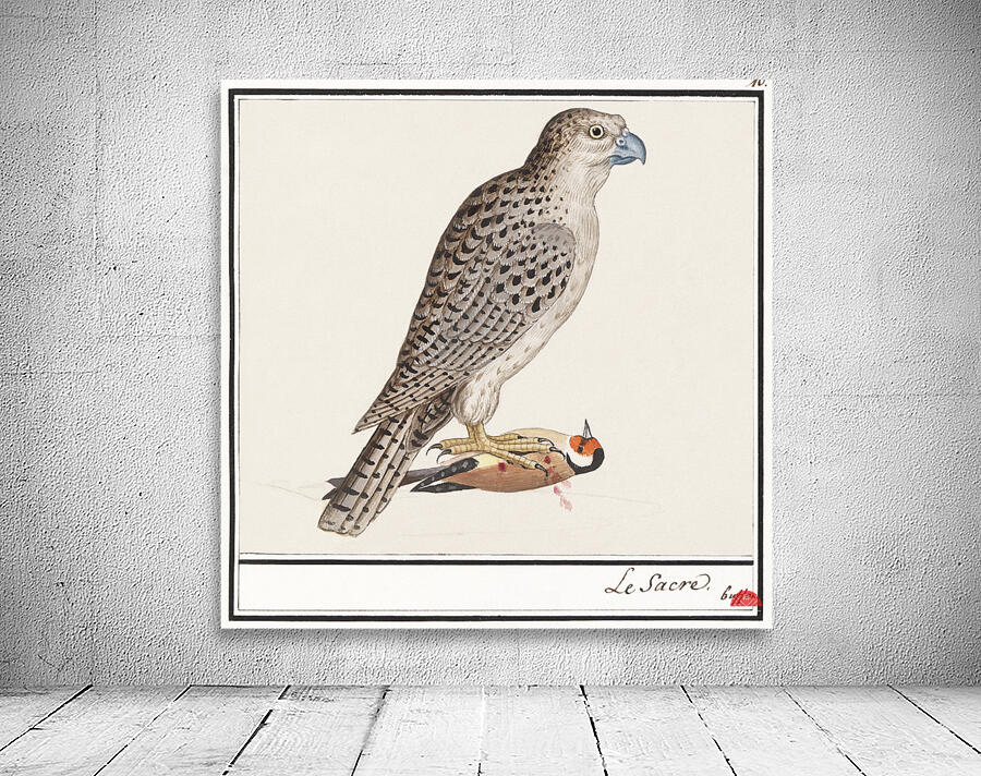 Gyrfalcon in vintage style Wall Preview