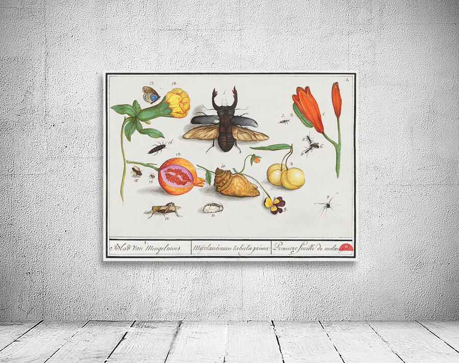 Nature ensemble in vintage style Wall Preview