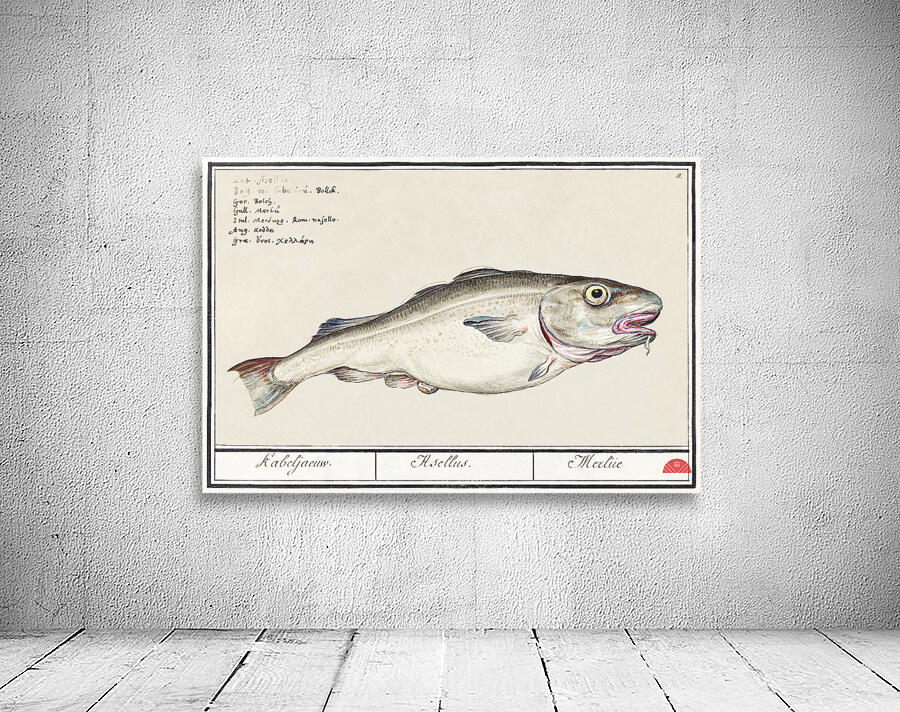 Cod in vintage style Wall Preview