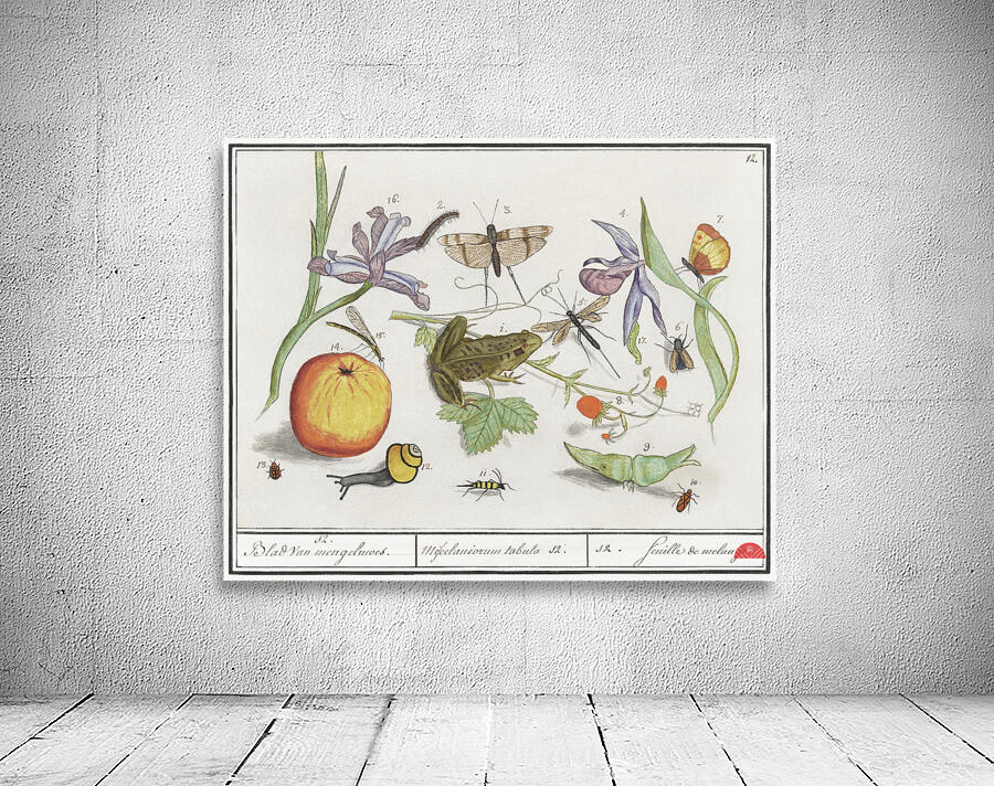 Nature ensemble in vintage style Wall Preview