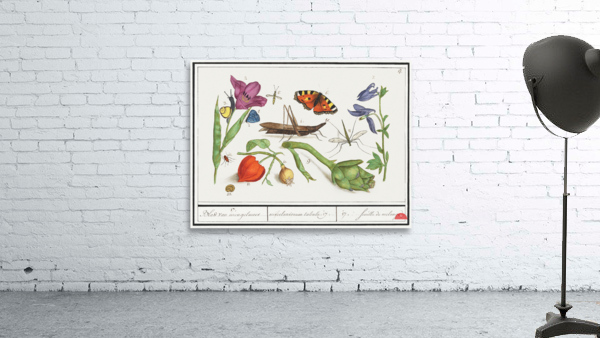 Nature ensemble in vintage style Wall Preview