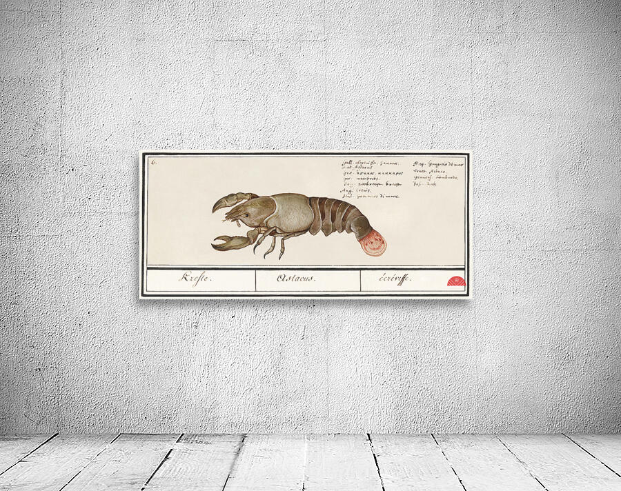 Lobster in vintage style Wall Preview
