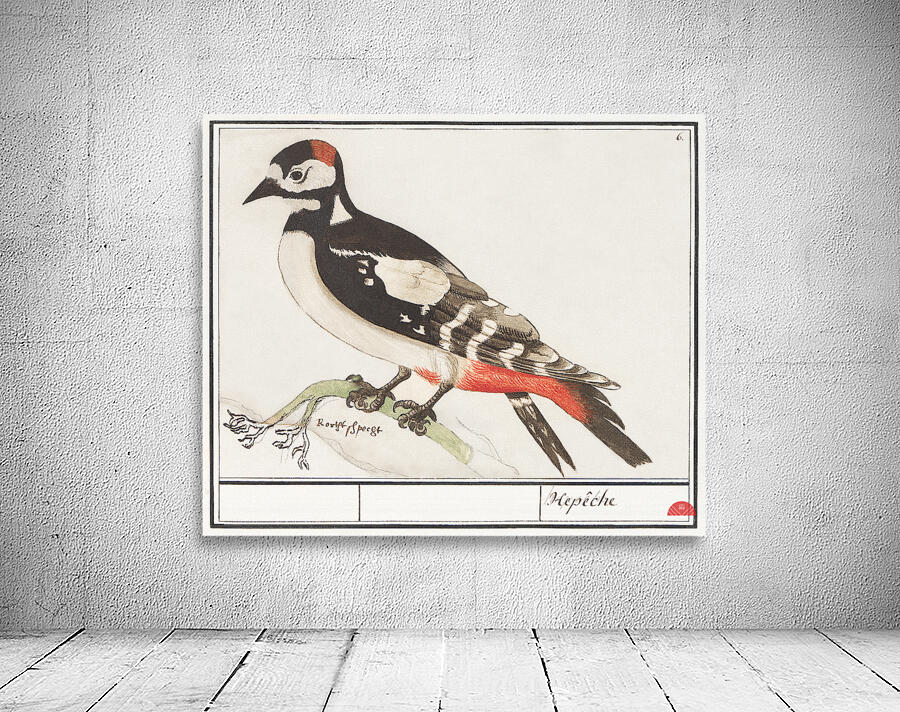 Great spotted woodpecker in vintage style Wall Preview