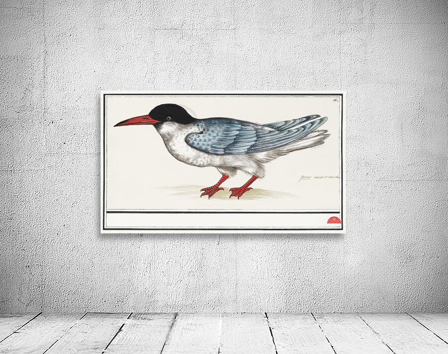 Tern in vintage style Wall Preview