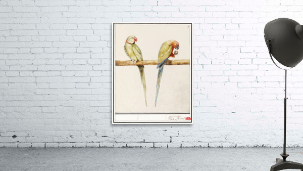 Parakeets in vintage style Wall Preview