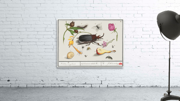 Nature ensemble in vintage style Wall Preview