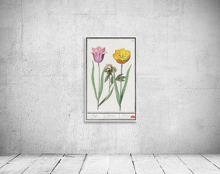 Tulip in vintage style Wall Preview