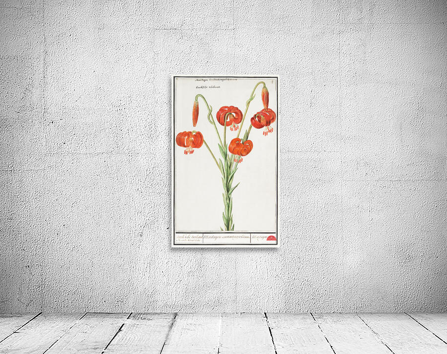 Red lily in vintage style Wall Preview