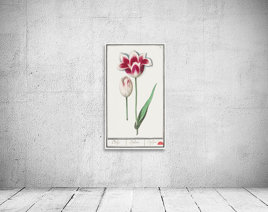 Tulip in vintage style Wall Preview