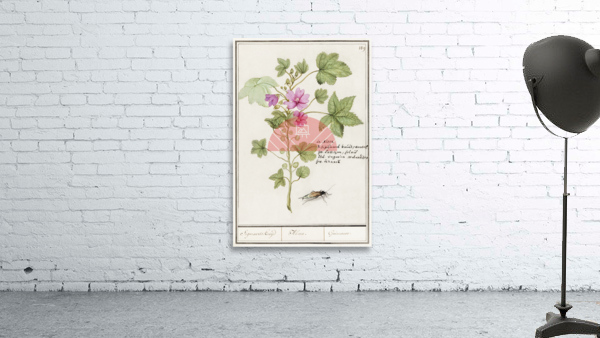 Tulip in vintage style Wall Preview
