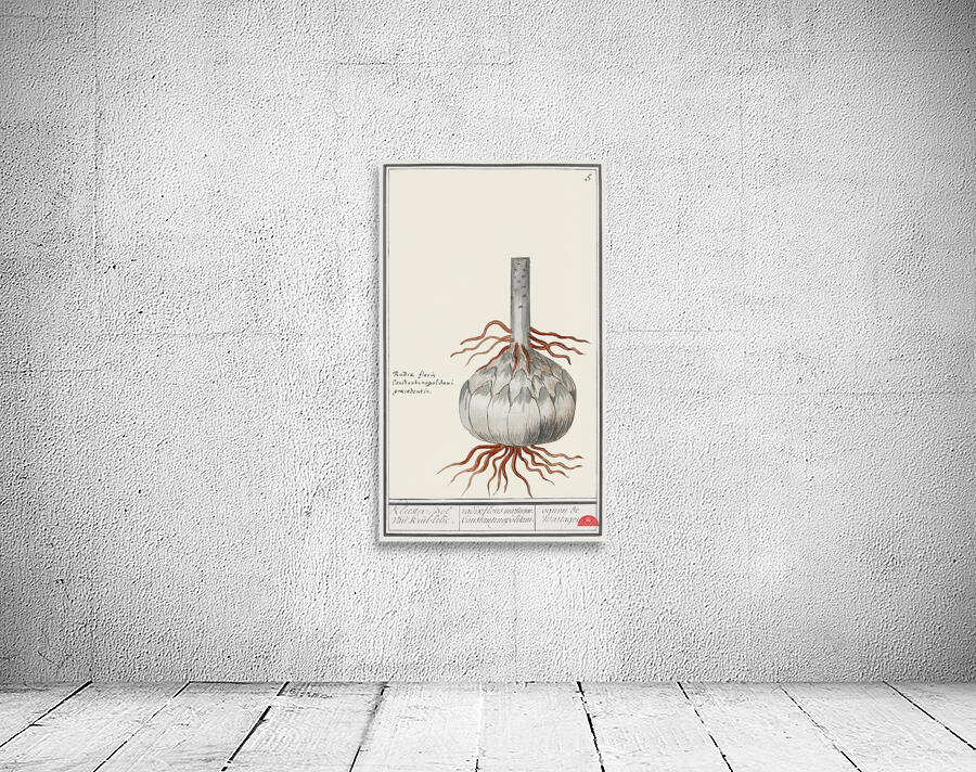 Globe of red lily in vintage style Wall Preview