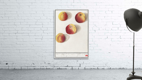 Apple in vintage style Wall Preview