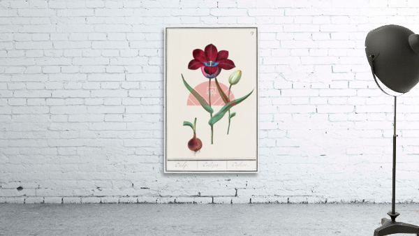 Tulip in vintage style Wall Preview