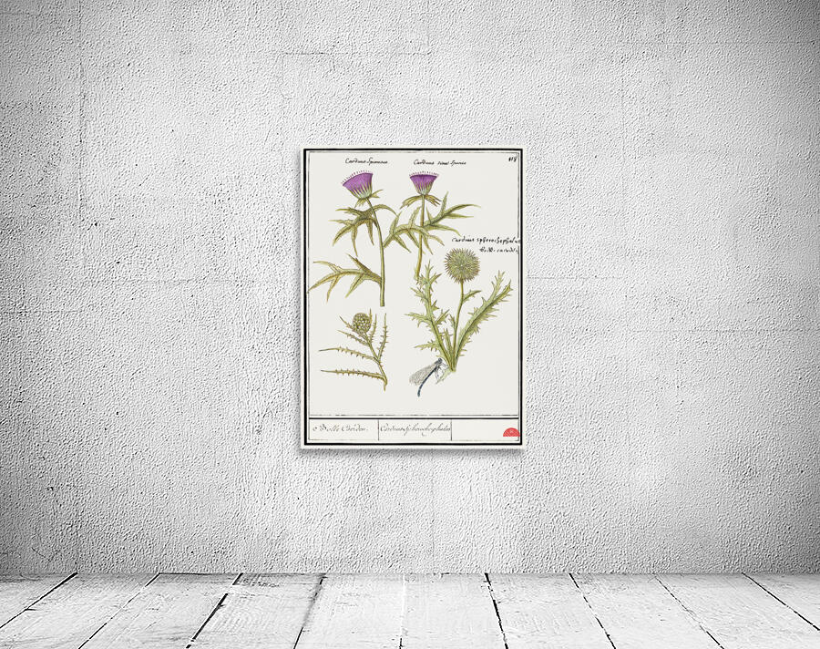 Thistle and artichoke Wall Preview