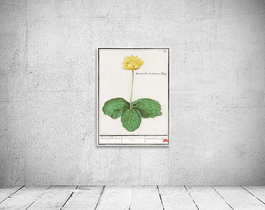 Yellow floppy in vintage style Wall Preview