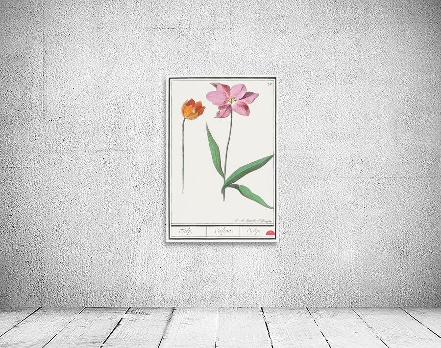 Tulip in vintage style Wall Preview