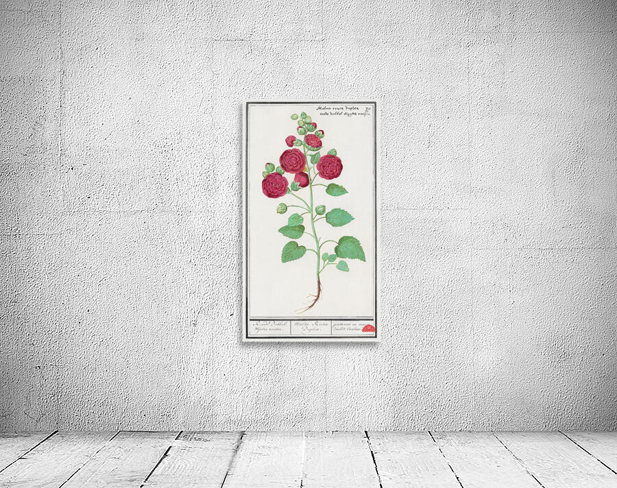 Cyclamen in vintage style Wall Preview