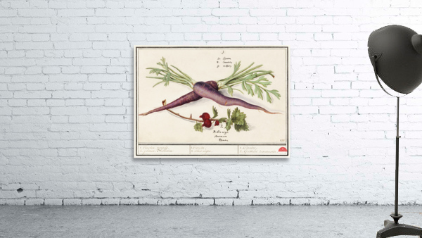 Carrot and red currant in vintage style Wall Preview