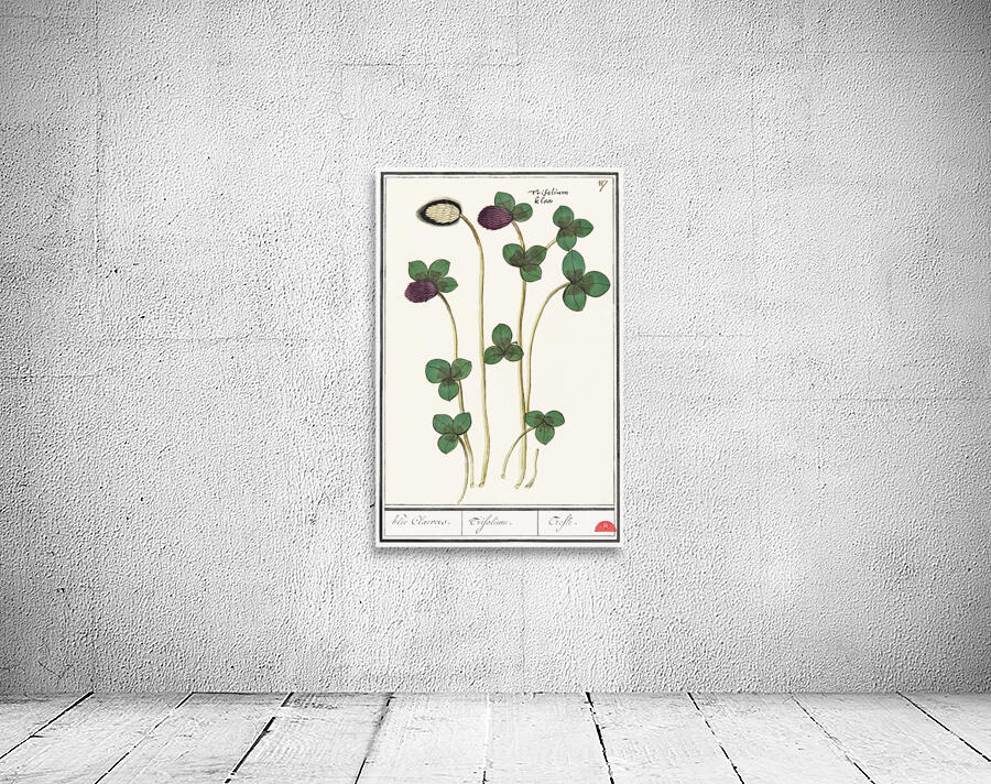 Dogstand flower wild rose and papaver Wall Preview