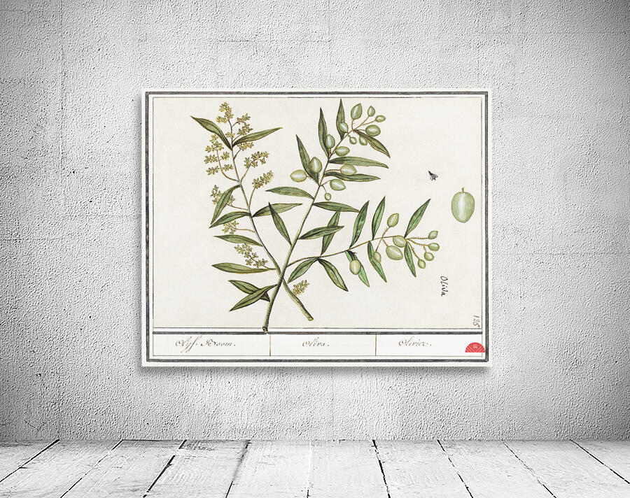 Olive in vintage style Wall Preview