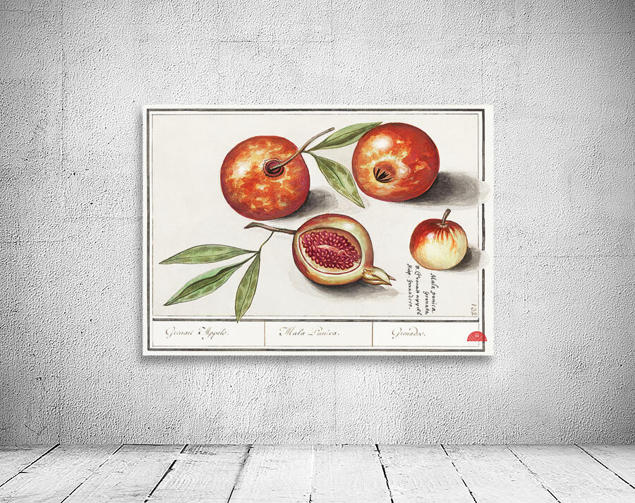 Olive in vintage style Wall Preview