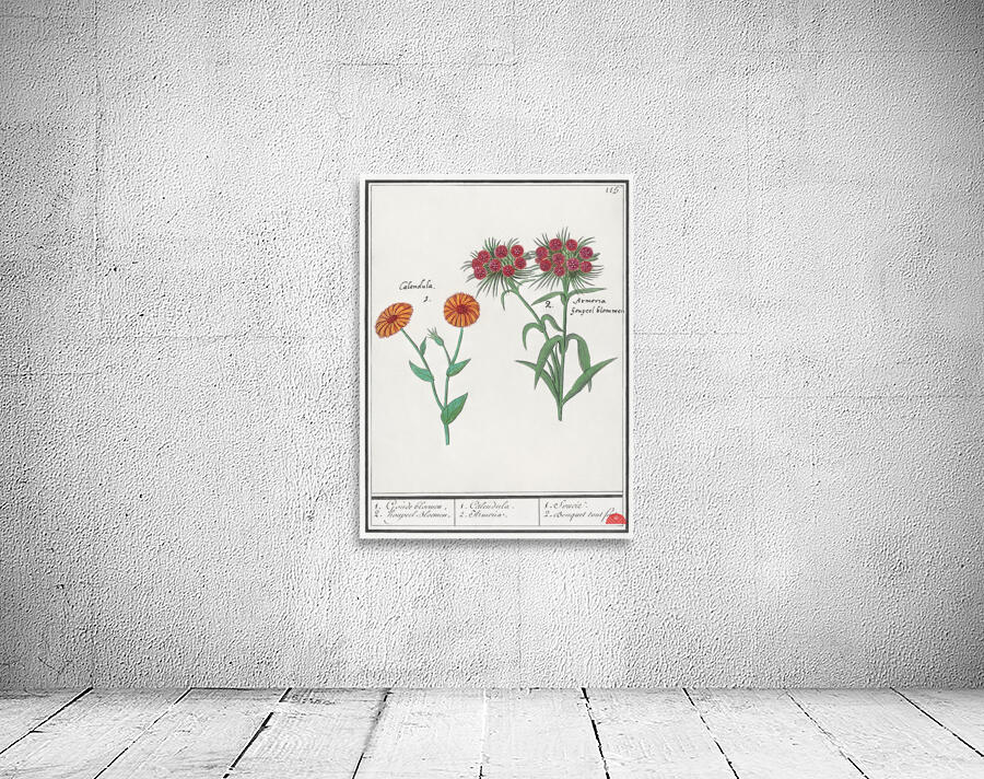 Marigold and daisy in vintage style Wall Preview