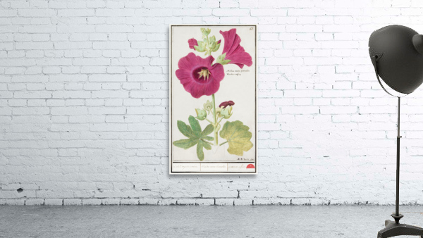 Alcea in vintage style Wall Preview
