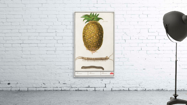 Pineapple in vintage style Wall Preview