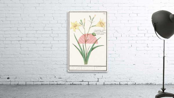 Yellow lily in vintage style Wall Preview