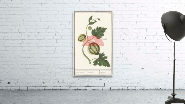 Watermelon in vintage style Wall Preview