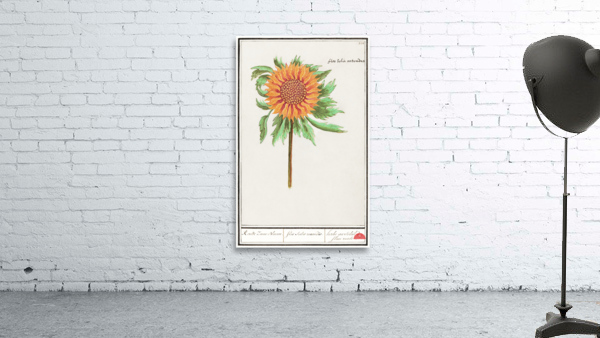 Sunflower in vintage style Wall Preview