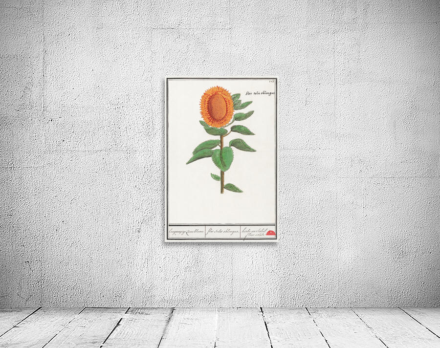 Sunflower in vintage style Wall Preview