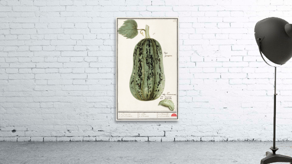 White cabbage in vintage style Wall Preview