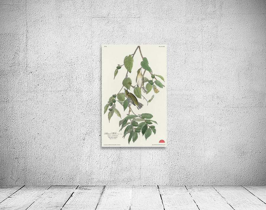 Autumnal Warbler Wall Preview