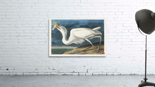 Great White Heron Wall Preview