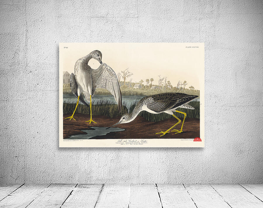 Tell-tale Godwit or Snipe Wall Preview