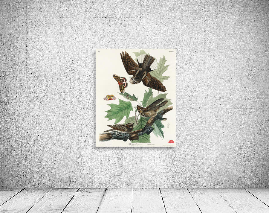 Whip-poor-will Wall Preview