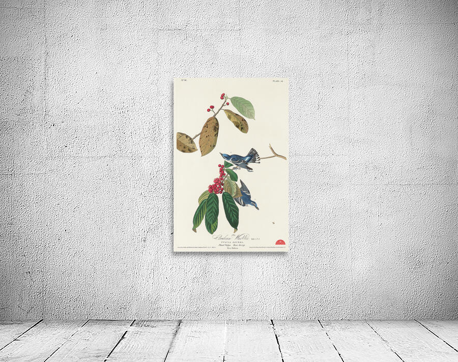 Fish Crow Wall Preview