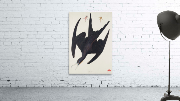 Chestnut-sided Warbler Wall Preview