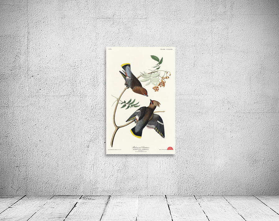 Rusty Grakle Wall Preview