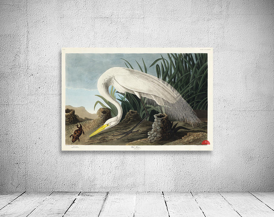 White Heron Wall Preview
