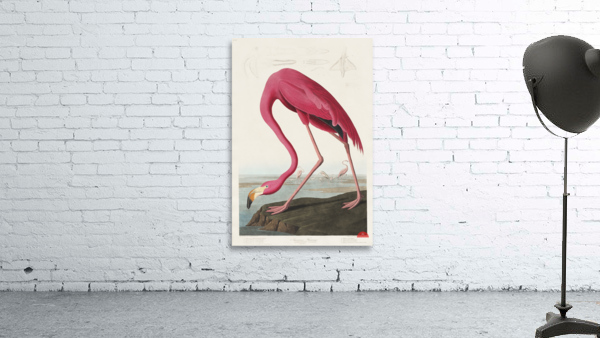 Pink flamingo Wall Preview