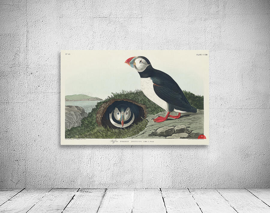 Puffin Wall Preview