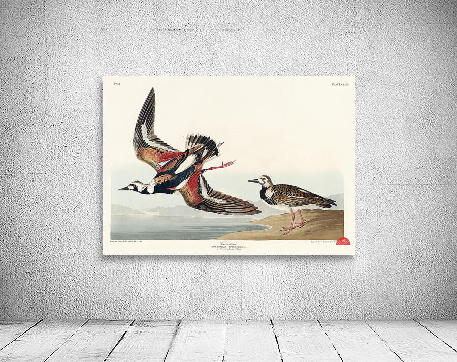 Turn-stone Wall Preview