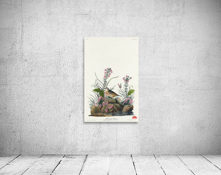 Yellow-winged Sparrow Wall Preview